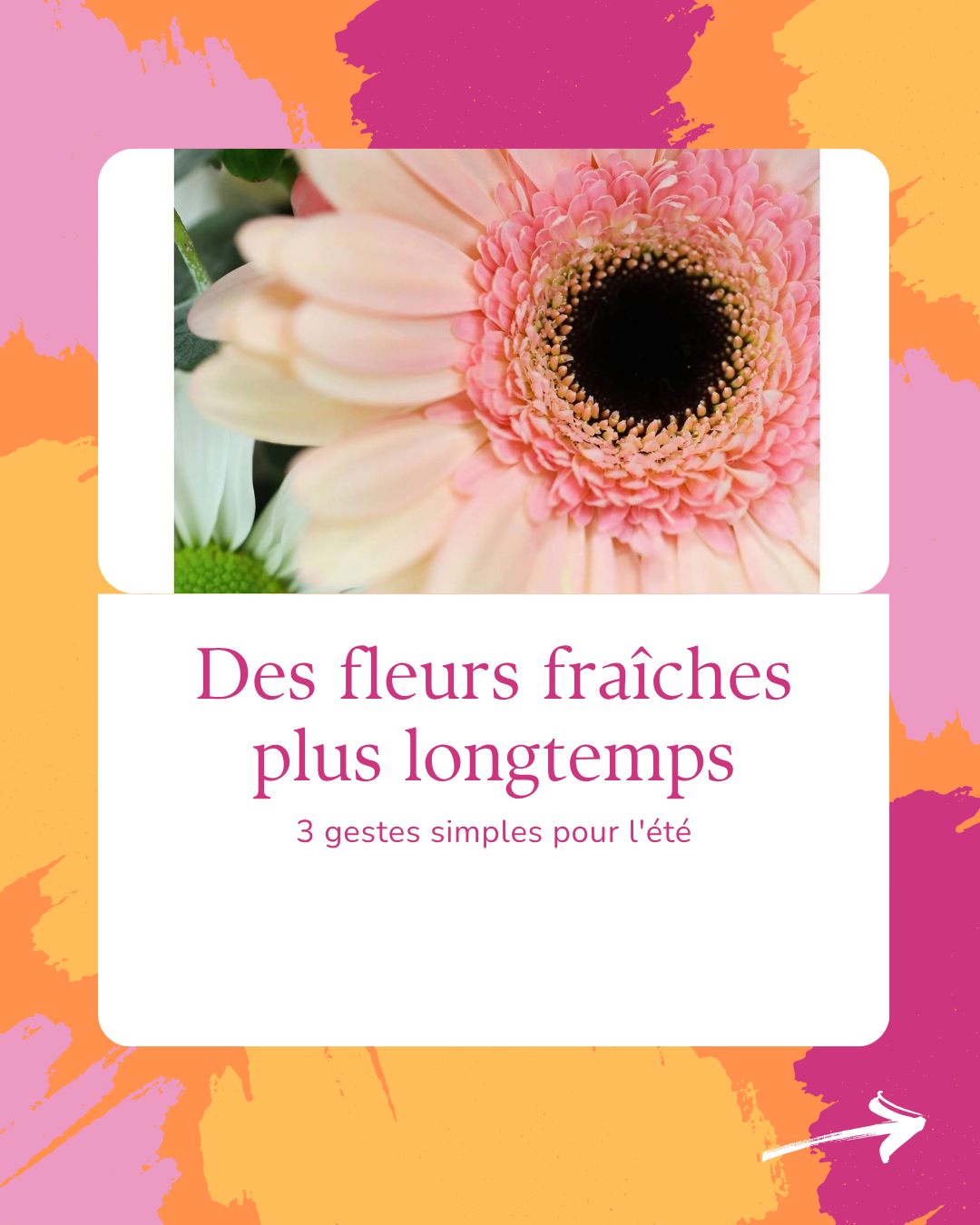 Des fleurs fraîches plus longtemps, image 1 sur 4