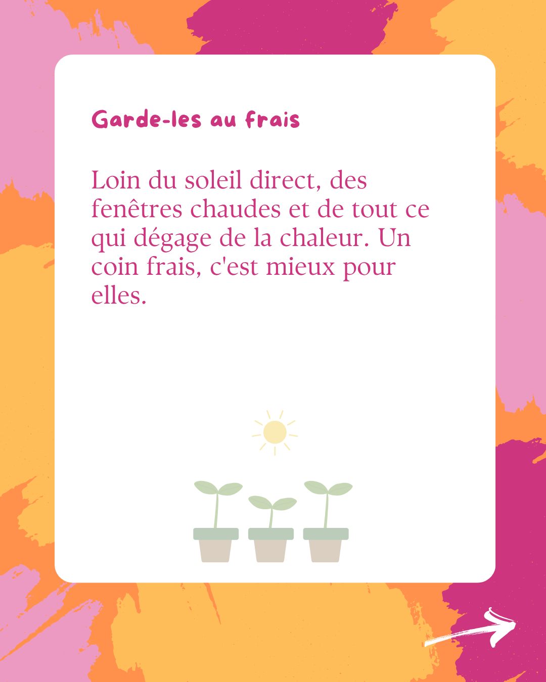 Des fleurs fraîches plus longtemps, image 3 sur 4